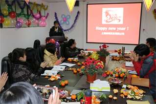 Annual activities, 2015