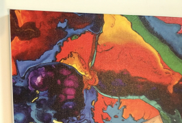Canvas printing sample of WER-E2000UV